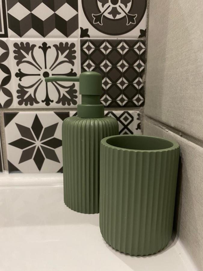 Le Cosy, Appartement Chaleureux 2 Chambres La Talaudiere المظهر الخارجي الصورة