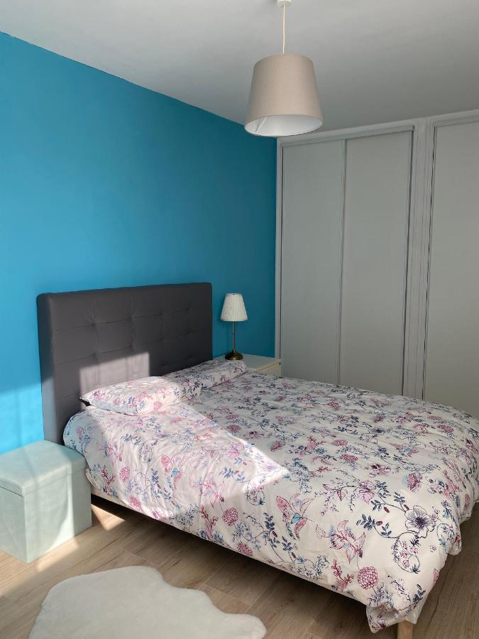 Le Cosy, Appartement Chaleureux 2 Chambres La Talaudiere المظهر الخارجي الصورة